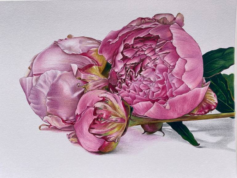 Original Other Floral Drawing by Marie-Noëlle Erasmus