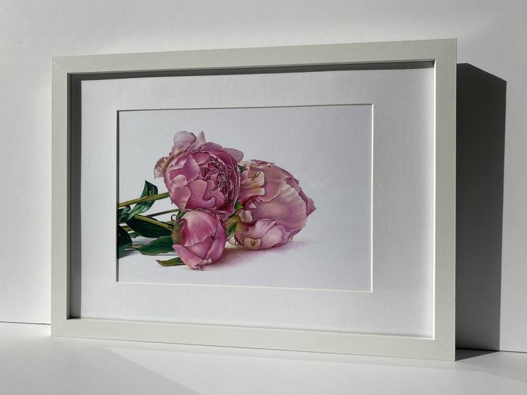 Original Photorealism Floral Drawing by Marie-Noëlle Erasmus