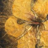 YELLOW HIBISCUS - EURIDICE by ILONA SUSCHITZKY