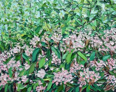 Mountain Laurel thumb