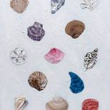Collection Seascapes