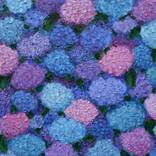 Collection Floral Paintings