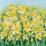 Daffodil Garden by Ann Marie Coolick