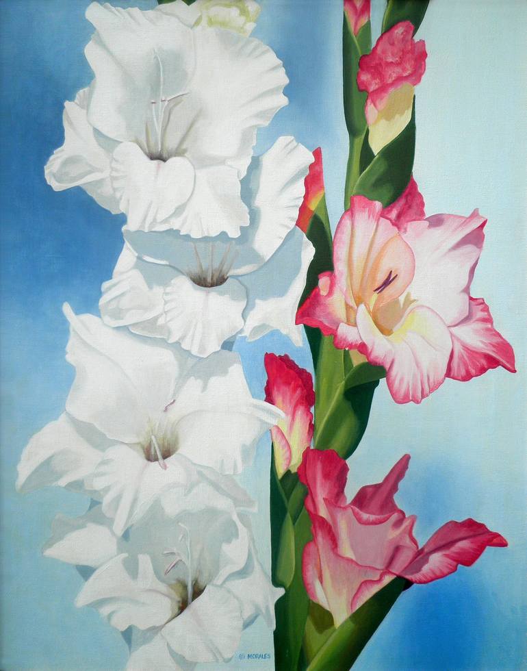 gladiolus painting