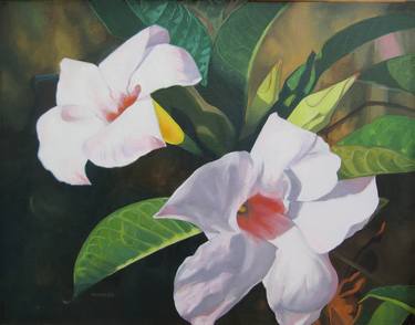 Original Floral Paintings by Maria Morales
