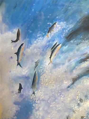Original Fish Paintings by Anne Davey Orr