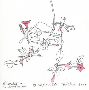 Oleander thumb