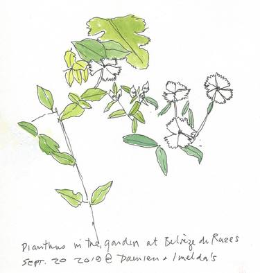 Print of Realism Botanic Paintings by Anne Davey Orr