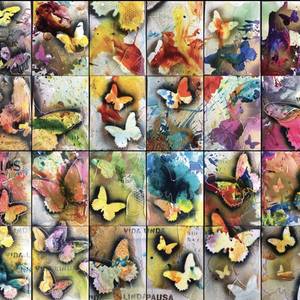The Colors of Luisa