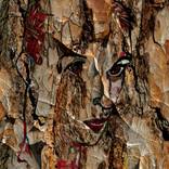 Collection Arte fotográfico y Digital.