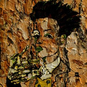 Collection Arte fotográfico y Digital.