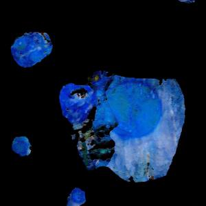 Collection Arte fotográfico y Digital.