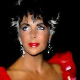 Collection SOY un retrato.