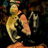 Collection COLLAGE-manía.