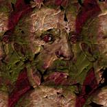 Collection Best of The Other Avatars