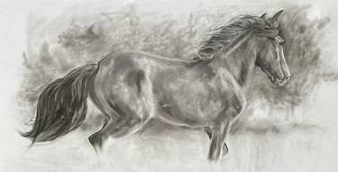 Original Figurative Horse Drawings by Geoff Davis