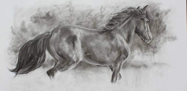 Original Contemporary Horse Drawing by Geoff Davis