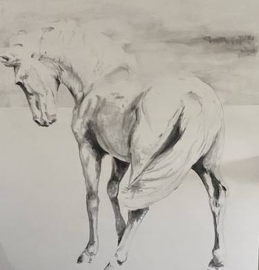 Original Horse Drawings by Geoff Davis
