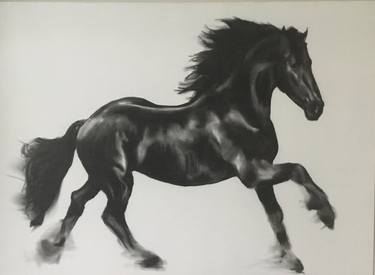 Original Contemporary Horse Drawings by Geoff Davis