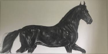 Original Black & White Horse Drawings by Geoff Davis