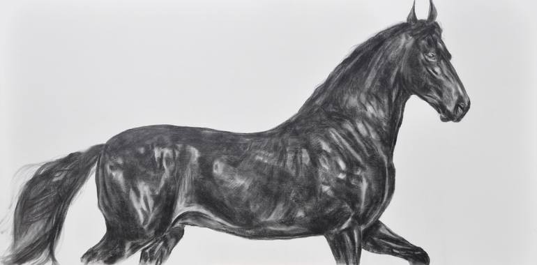 Original Black & White Horse Drawing by Geoff Davis