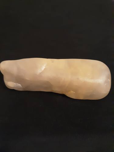 Pleistocene Translucent Whale and Giant Squid thumb