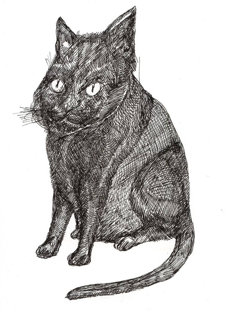 SUPREME MATOU Drawing by Pedro Uribe Echeverria Saatchi Art