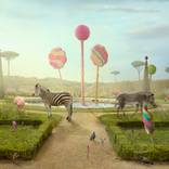 Where the Grass is Greener by Nikolina Petolas