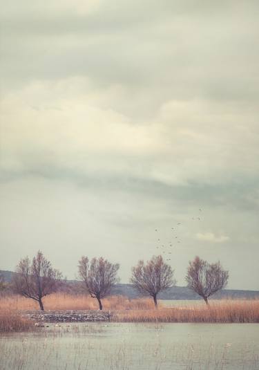 Original Landscape Photography by Nikolina Petolas