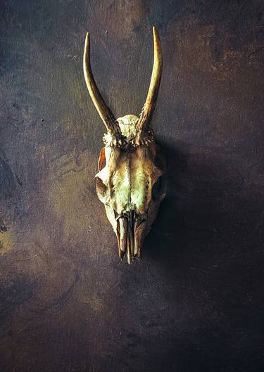 Animal Skull - Limited Edition 1 of 15 thumb