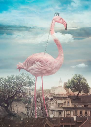 Original Cities Photography by Nikolina Petolas