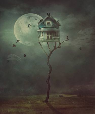 Bird House - Night Gathering - Limited Edition 1 of 5 thumb