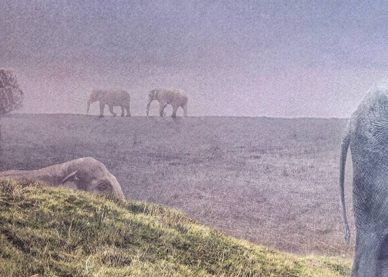 Original Conceptual Fantasy Photography by Nikolina Petolas