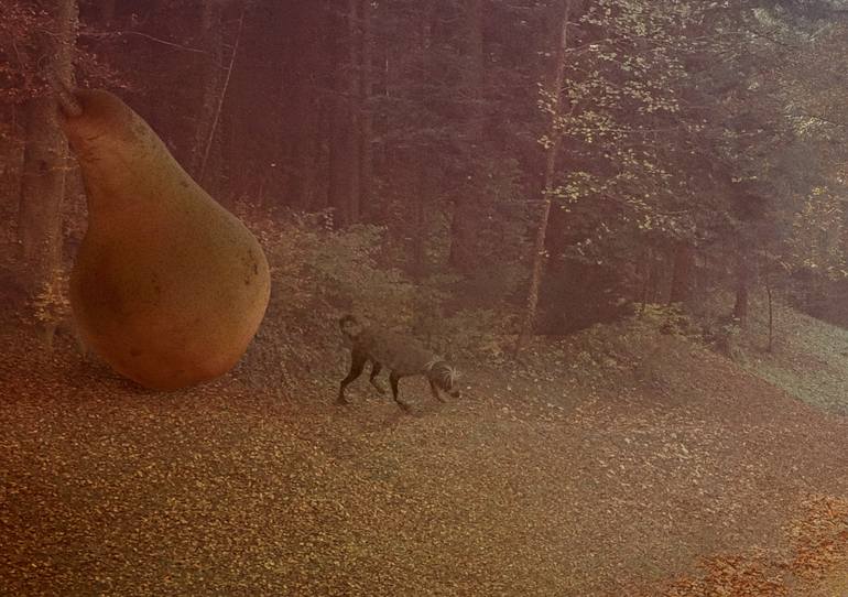 Original Conceptual Fantasy Photography by Nikolina Petolas