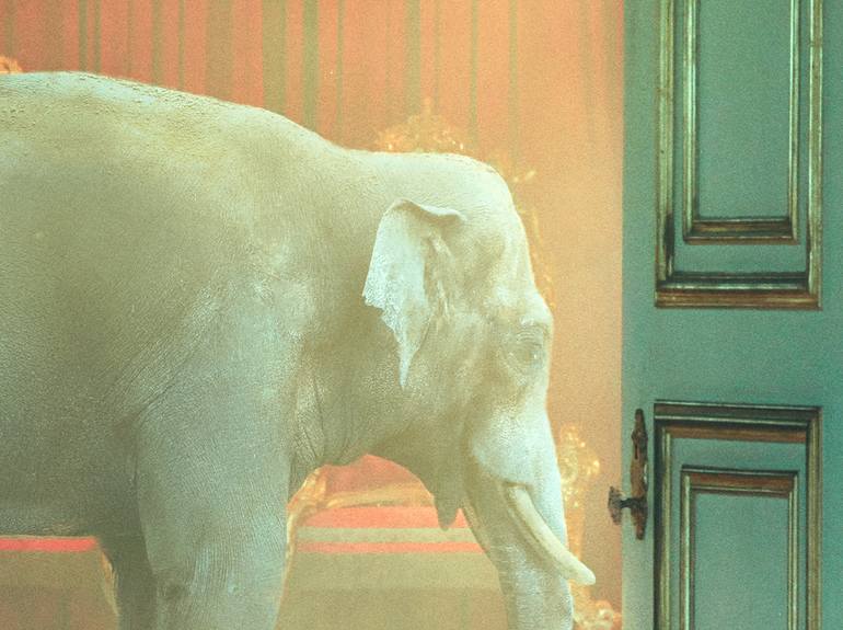 Original Conceptual Animal Photography by Nikolina Petolas