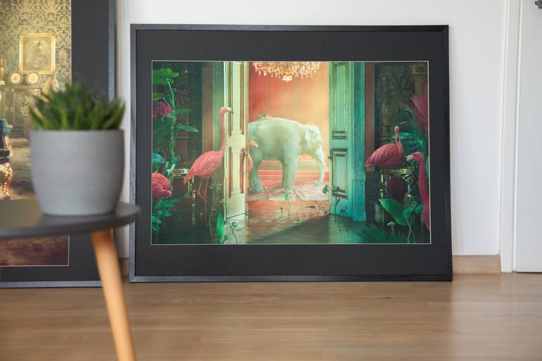 Original Conceptual Animal Photography by Nikolina Petolas