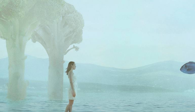 Original Surrealism Fantasy Photography by Nikolina Petolas