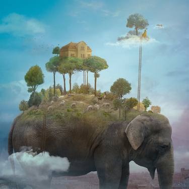 Original Conceptual Animal Photography by Nikolina Petolas