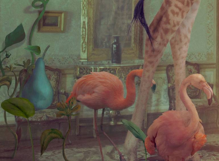 Original Fine Art Animal Photography by Nikolina Petolas