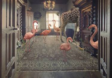 Original Surrealism Animal Photography by Nikolina Petolas