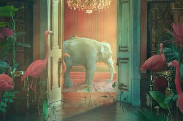 Original Conceptual Animal Photography by Nikolina Petolas