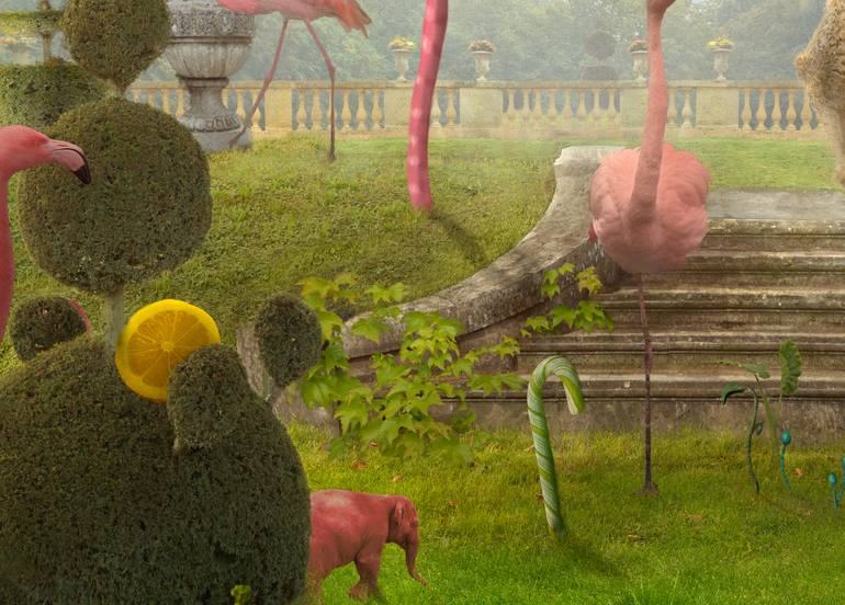 Original Conceptual Animal Photography by Nikolina Petolas