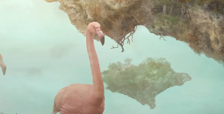 Original Illustration Animal Photography by Nikolina Petolas