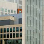 Collection Fair Director Highlights