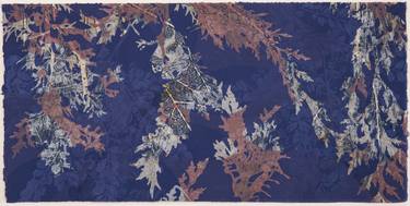 Original Abstract Botanic Printmaking by Ann Mcintyre