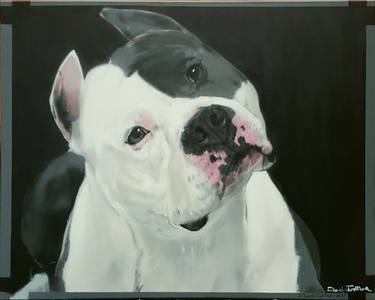 Print of Dogs Paintings by Claudio Coltura