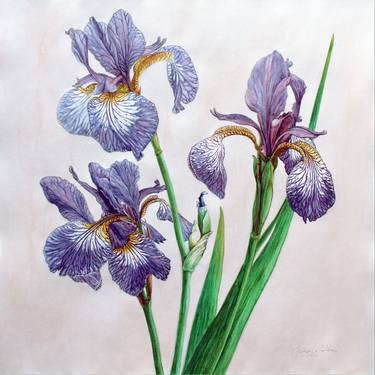 Print of Figurative Botanic Paintings by Ciprian Mihailescu