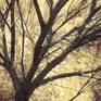 Close up preview of the texture and "ink-stencil" feeling of the print