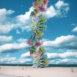 SUNSHINE POP 4 by Paul-André Larocque