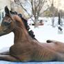 Faith - bronze foal sculpture